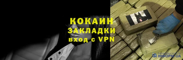 spice Бородино