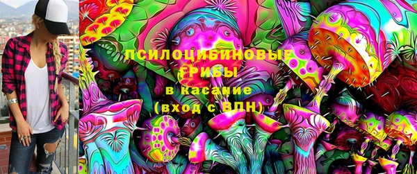 не бодяженный Тобольск