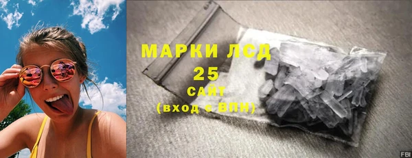 spice Бородино