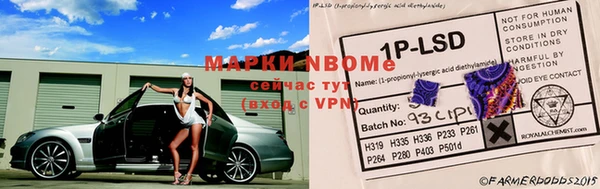 spice Бородино