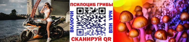 Псилоцибиновые грибы GOLDEN TEACHER  Туран 